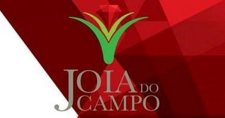JOIA DO CAMPO - DESTAQUE - Campo Grande